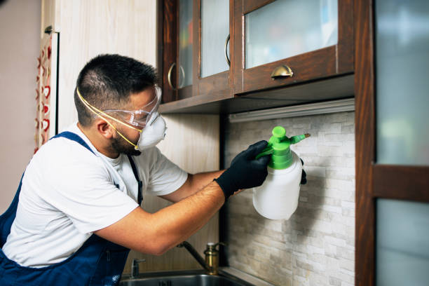 Best Termite Control Services  in Oregon, WI