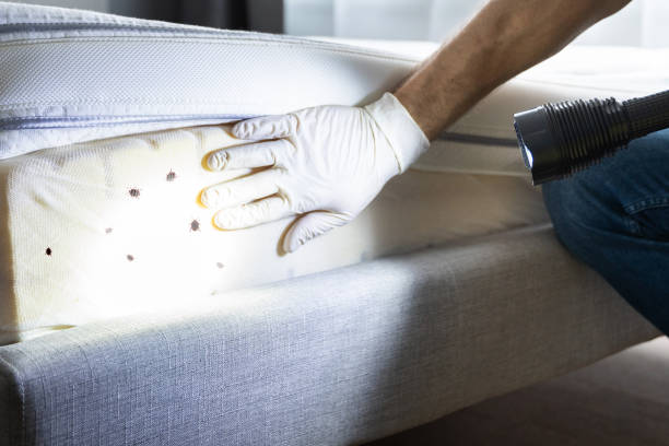 Best Cockroach Control Services  in Oregon, WI