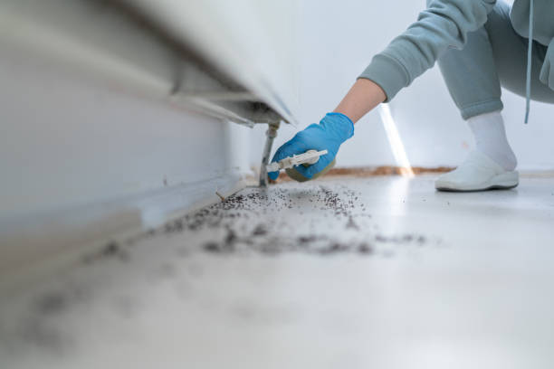 Best Emergency Pest Control  in Oregon, WI