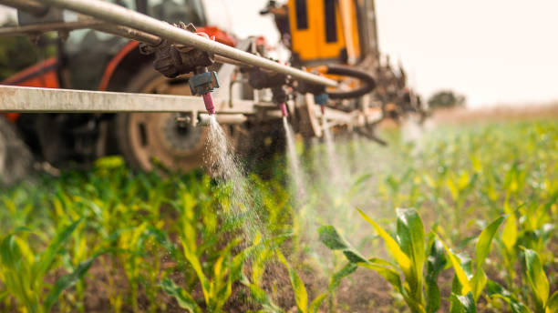Professional Pest Control in Oregon, WI